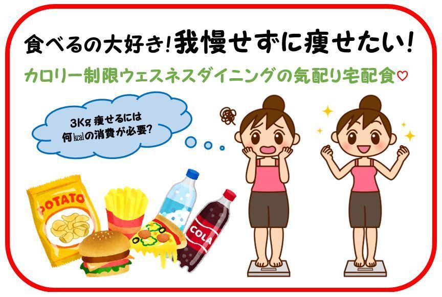 巣ごもりで激太り ウェスネスでダイエット可能 カロリー制限で計算しやすい気配り宅配食がオススメ ウェルネスダイニング 宅配で時短ごはん